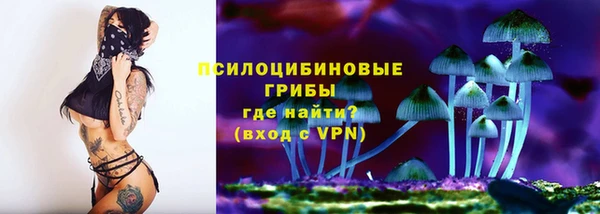 ГАЛЛЮЦИНОГЕННЫЕ ГРИБЫ Арсеньев