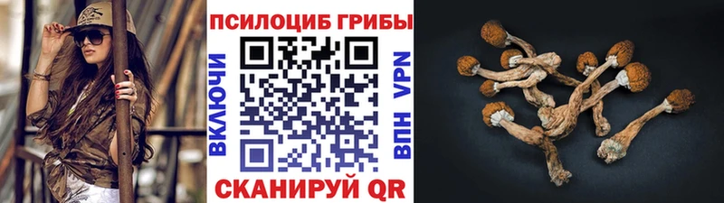 Псилоцибиновые грибы Magic Shrooms  Инсар 